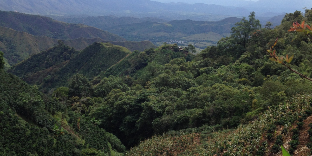 Celebrating Earth Day in 2022!