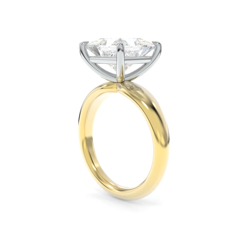 Arden Solitaire - 3.80ct. D VVS2 Princess Cut Lab Grown Diamond