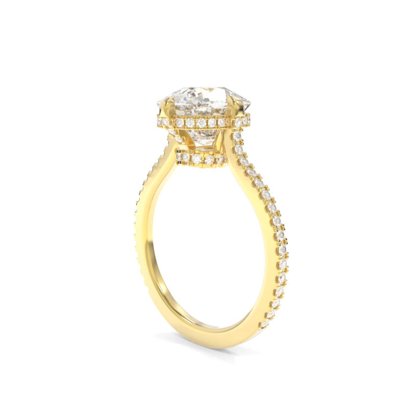 Emalyn Ring Elongated Cushion