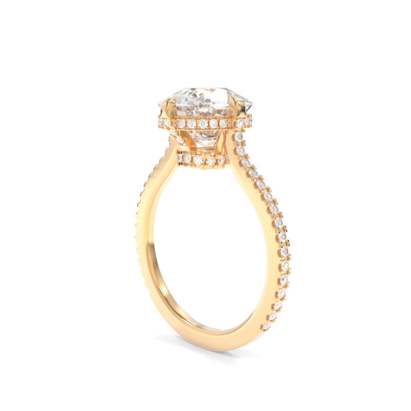 Emalyn Ring Elongated Cushion